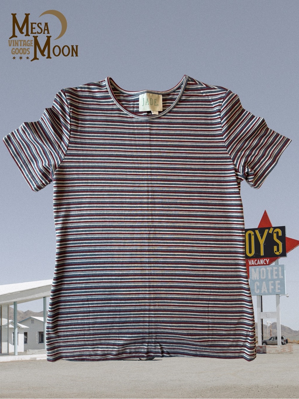 Vintage Short Sleeve Striped Tee in Blue and Red